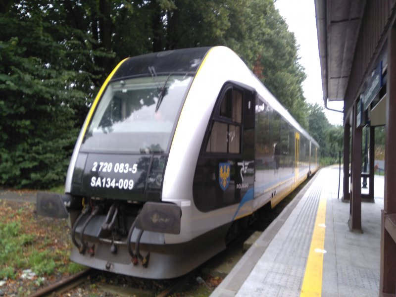 SA134 009