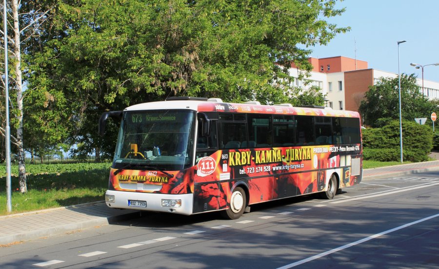 8613