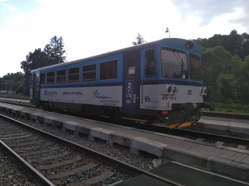 810 176-8