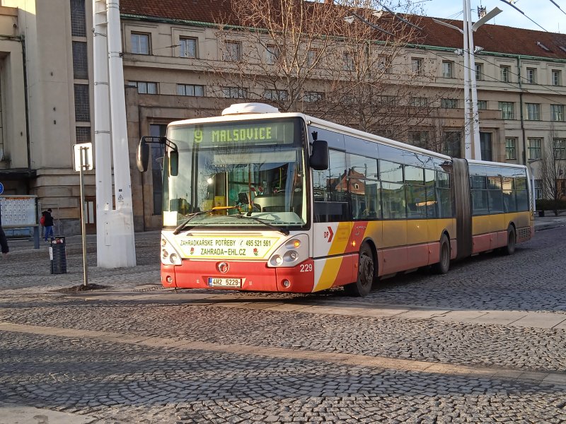229