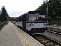 810 675-9