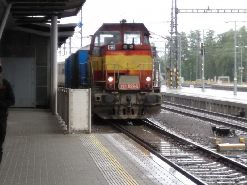 731 029-5