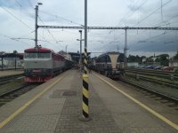 749 254-9