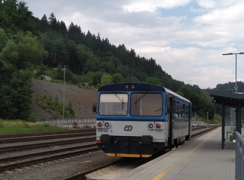 810 597-5