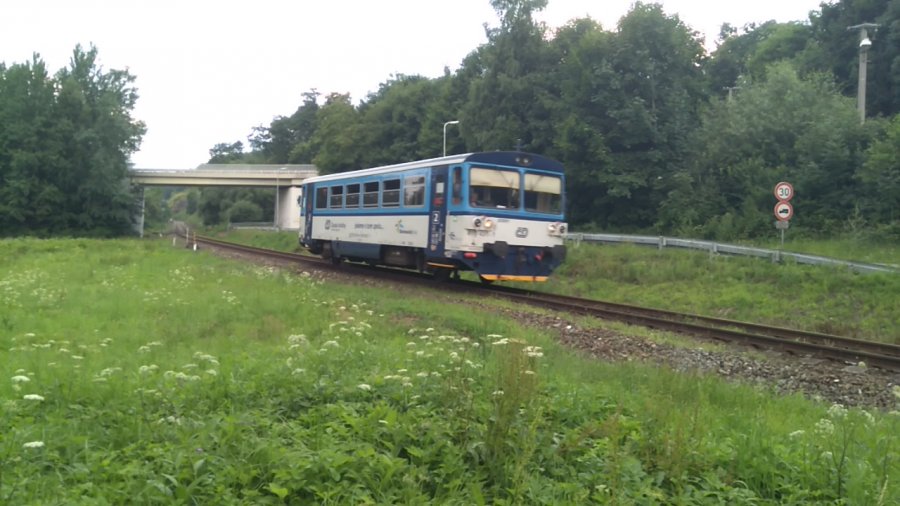 810 431-7