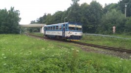 810 431-7