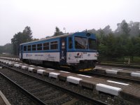 810 508-2