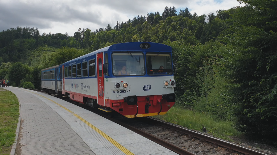 810 263-4