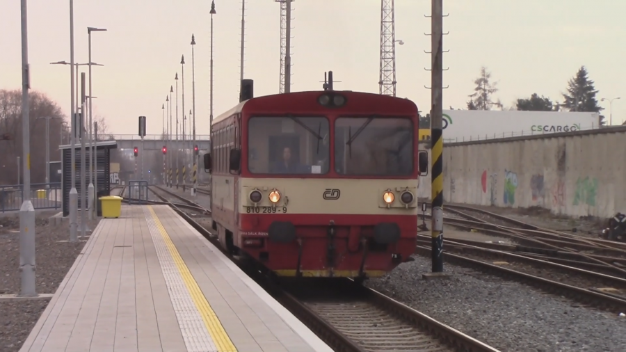 810 289-9