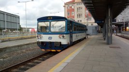 810 306-1
