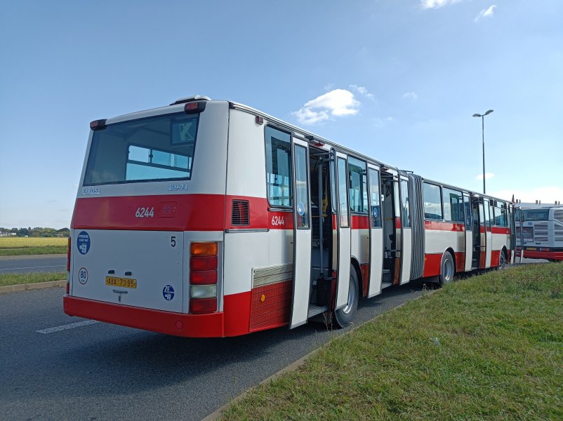 6244