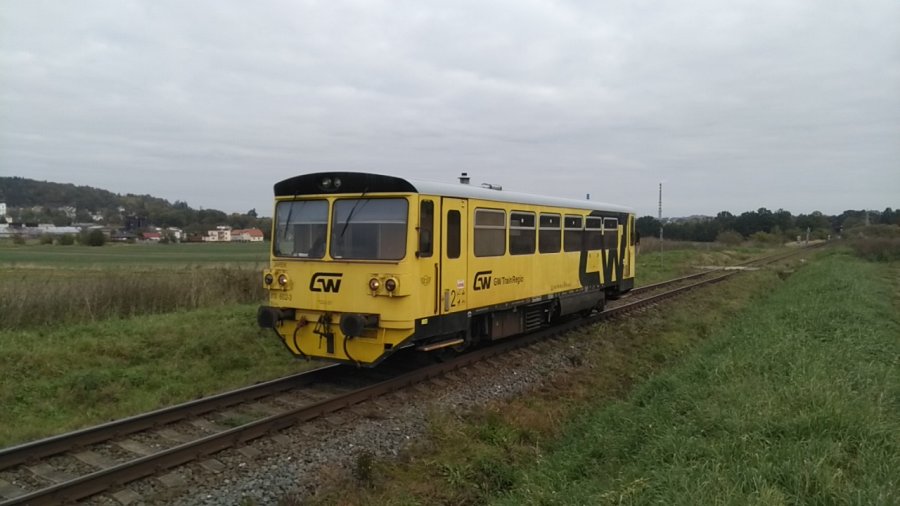 810 602-3