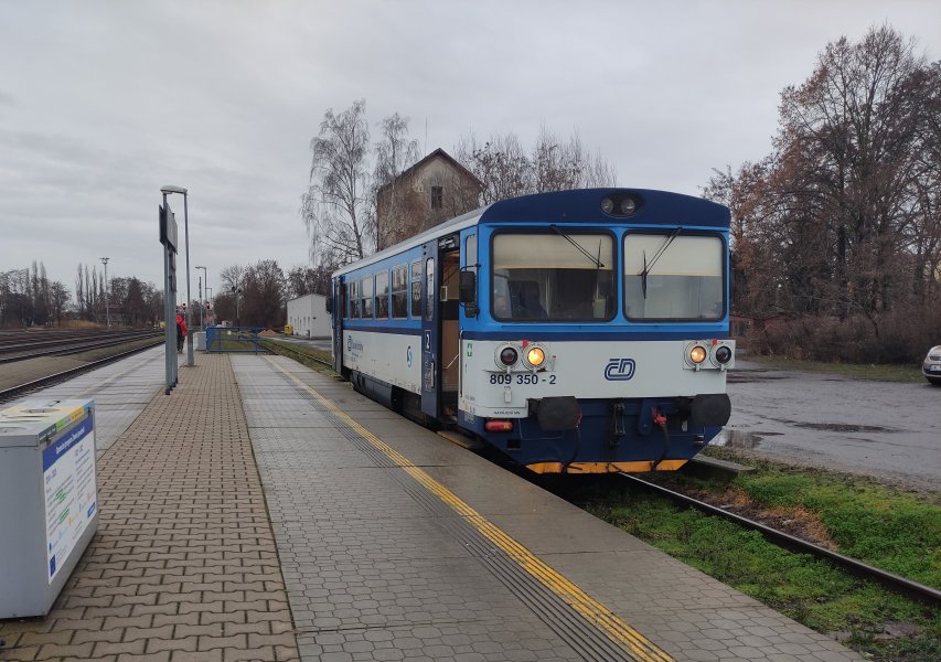 809 350-2