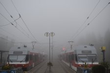 425 954-5