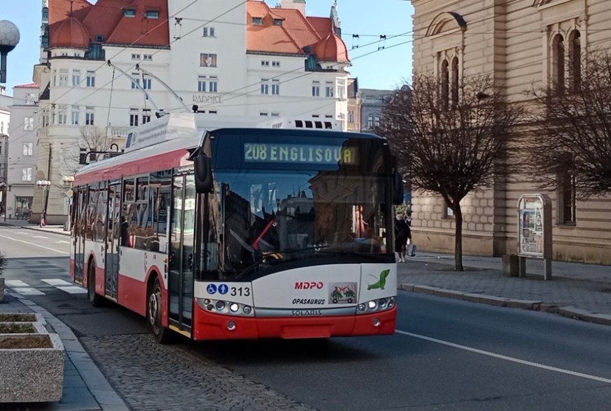 313