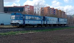 810 394-7