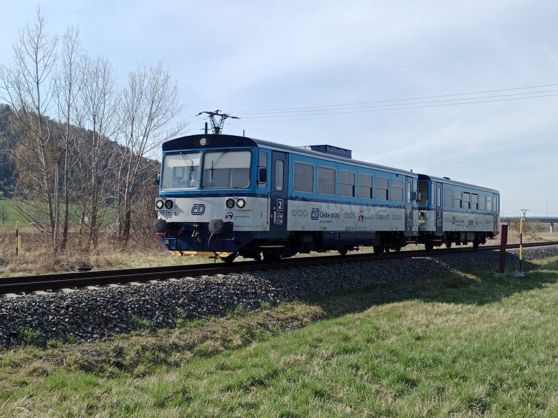 811 177-5
