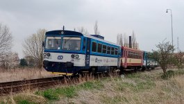 811 520-7