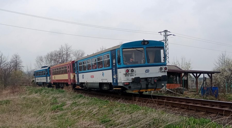 810 394-7