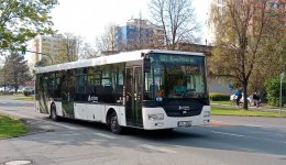 81-0015
