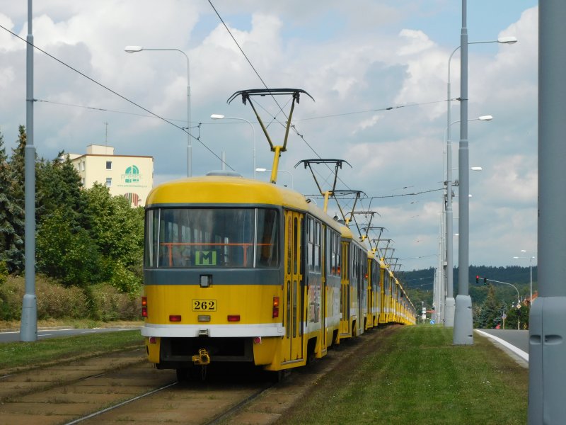262