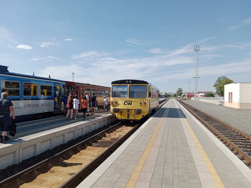 810 602-3