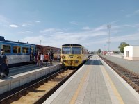 810 602-3