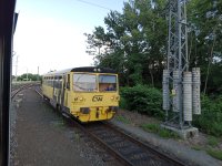 810 602-3