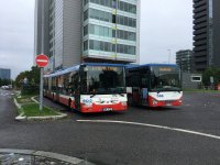 9956, 9105