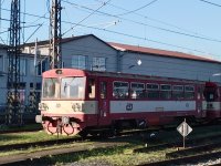 810 351-7