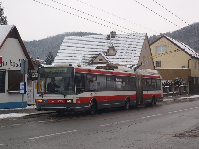 3603