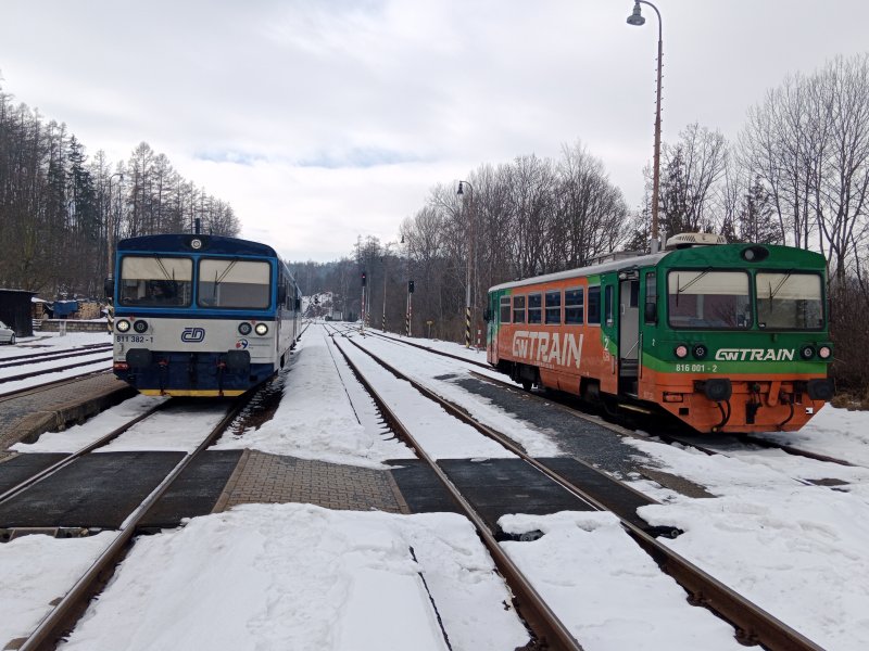 811 382-1