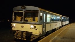810 394-7