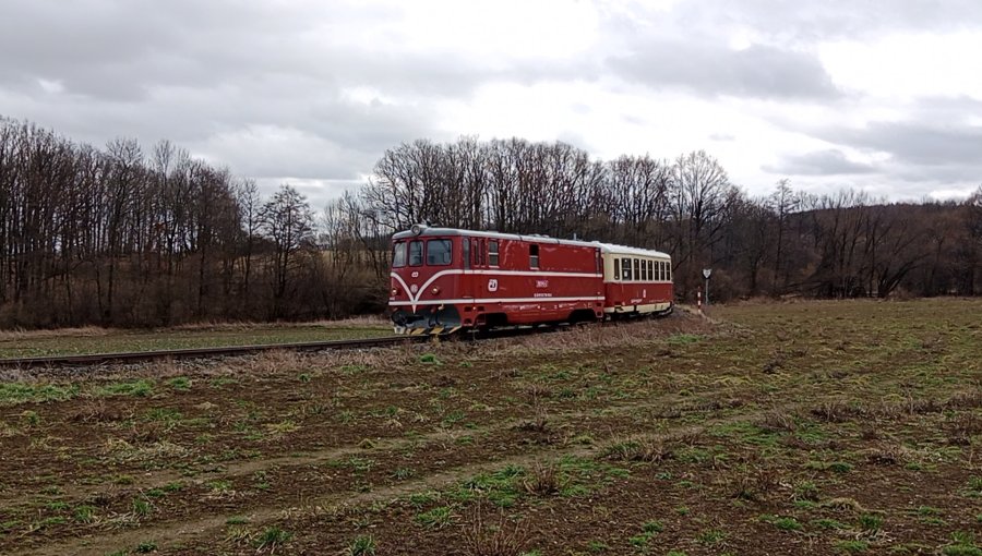 705 913-2