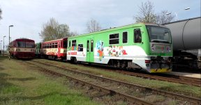 80-29 101-0