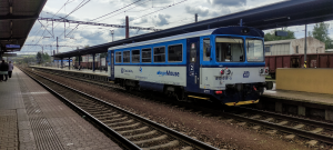 810 644-5