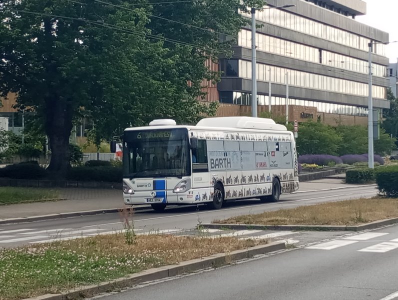 218 "Kougran"