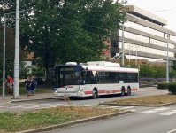 409 "Periwing"