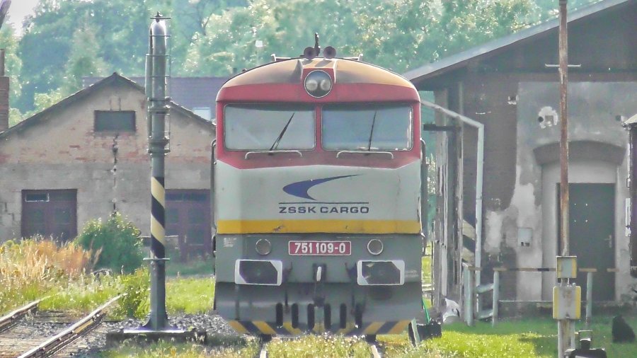 751 109-0