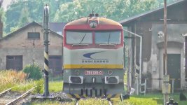 751 109-0