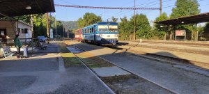 810 337-6