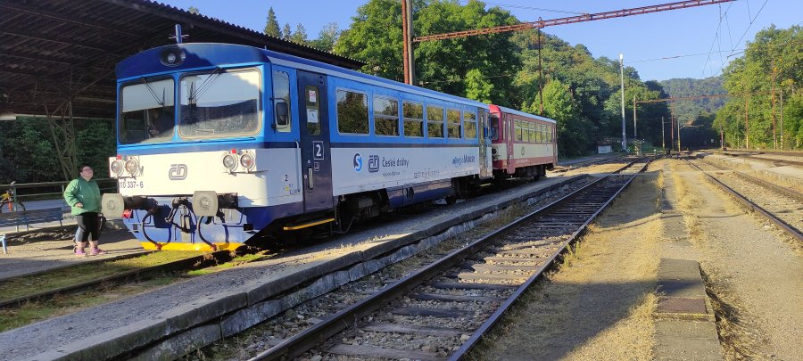 810 337-6