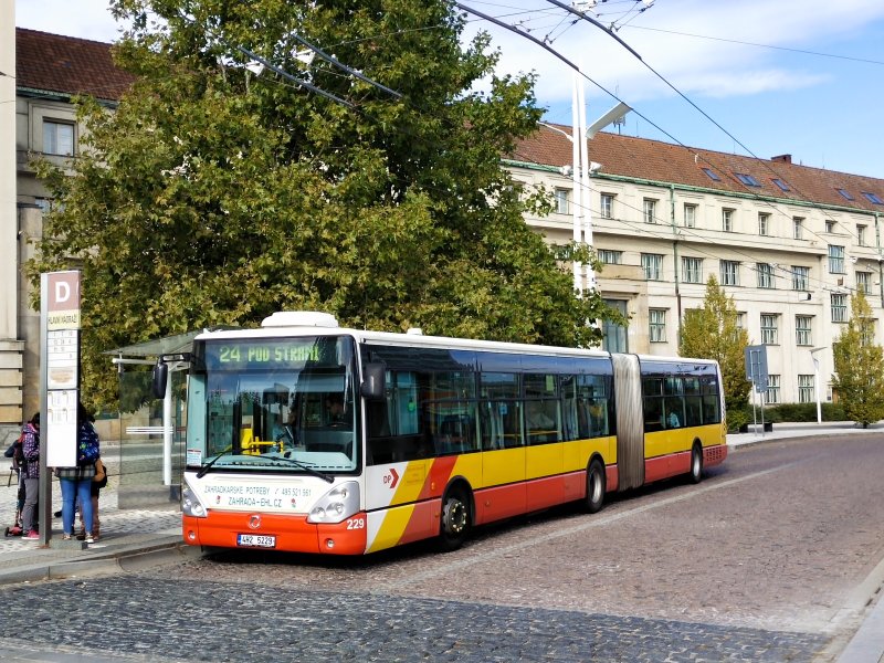 229