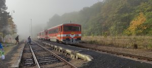 811 020-7