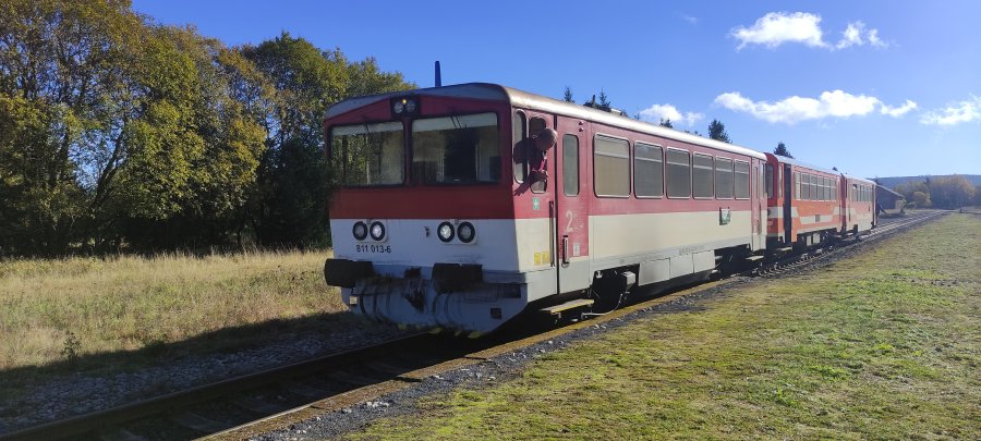 811 013-6