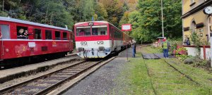 811 013-6