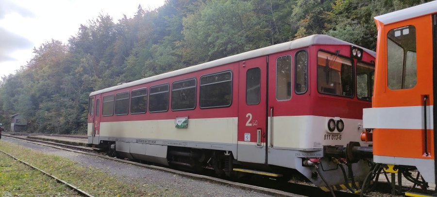 811 013-6
