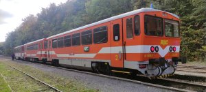 811 020-7