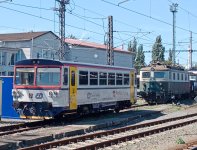 810 298-0