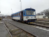 810 631-2